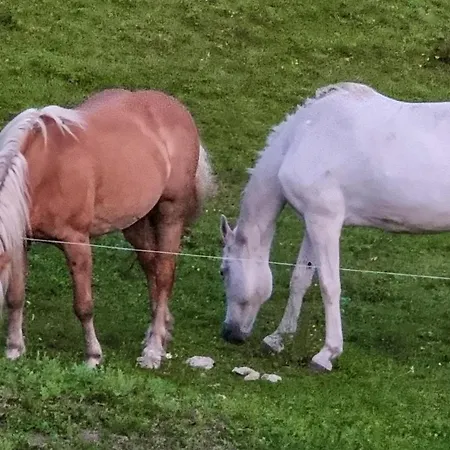بيت للعطل Rustico Giuly Civenna