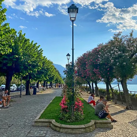 Rustico Giuly * Чивенна